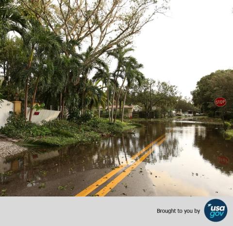 A flooded street lined with palm trees and houses, with a stop sign visible, reflecting the water. The image is credited to USA.gov.